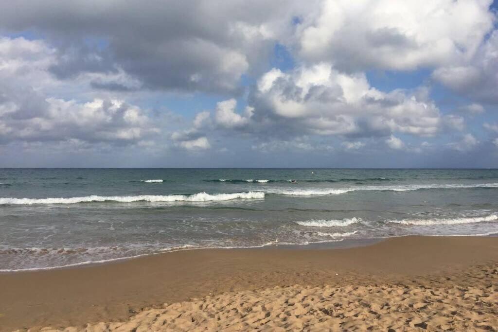 Beach Dream Apartment La Mata  Εξωτερικό φωτογραφία
