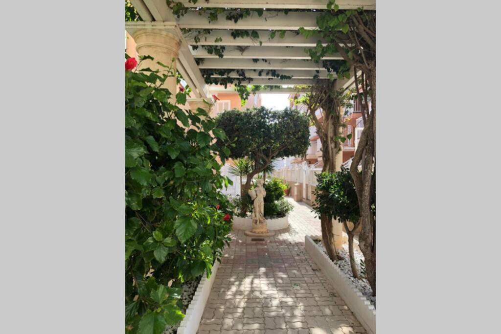 Beach Dream Apartment La Mata  Εξωτερικό φωτογραφία
