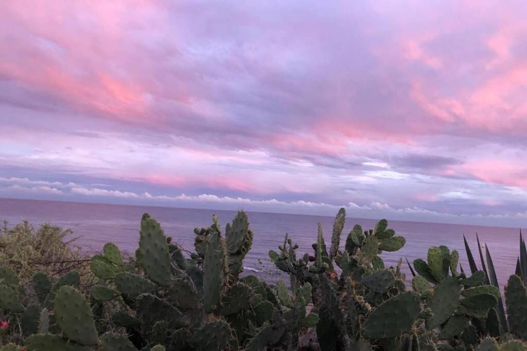 Beach Dream Apartment La Mata  Εξωτερικό φωτογραφία